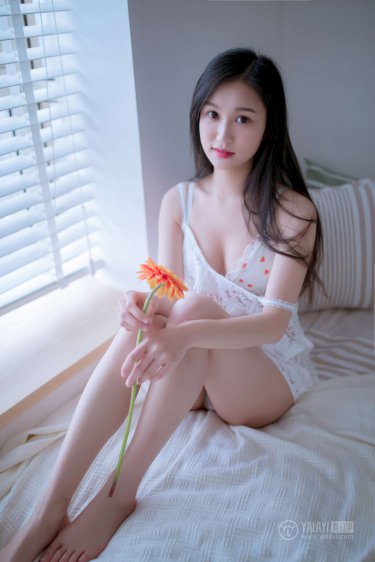 度华年电视剧免费观看